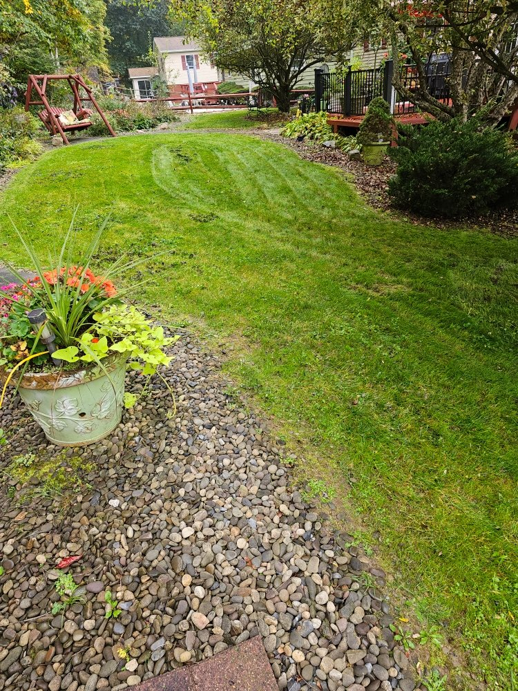 Lush green backyard with decorative planter, gravel pathway, red swing, and houses surrounded by mature trees