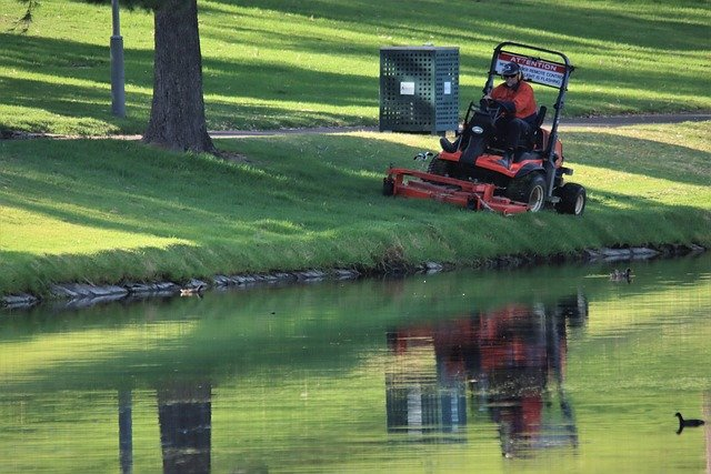 Red riding mower cutting grass near a pond with trees and reflections in water