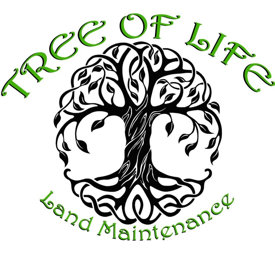 Tree of Life logo with "Tree of Life" text in green and "Land Maintenance" text below in green