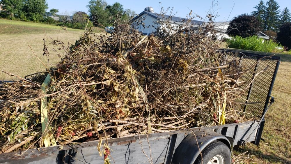 Trailer loaded with dried garden waste and plant debris in residential yard