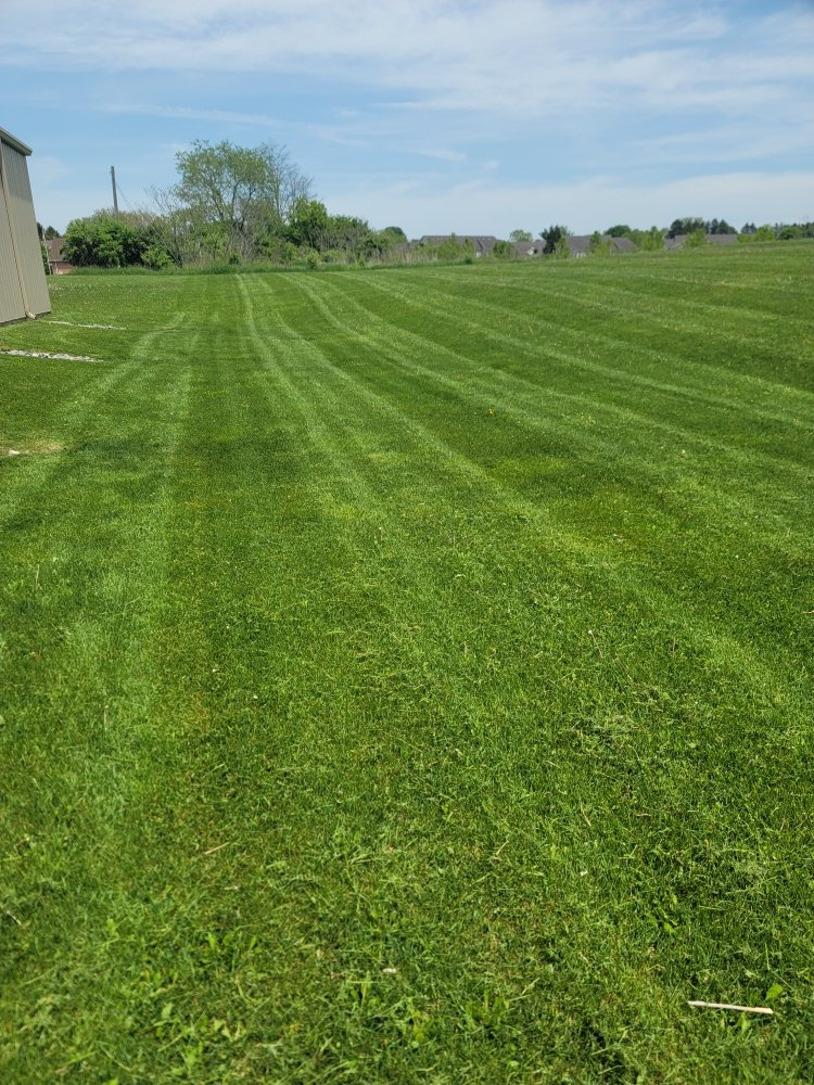 Well-maintained lawn with diagonal mowing stripes and rural farmland in background
